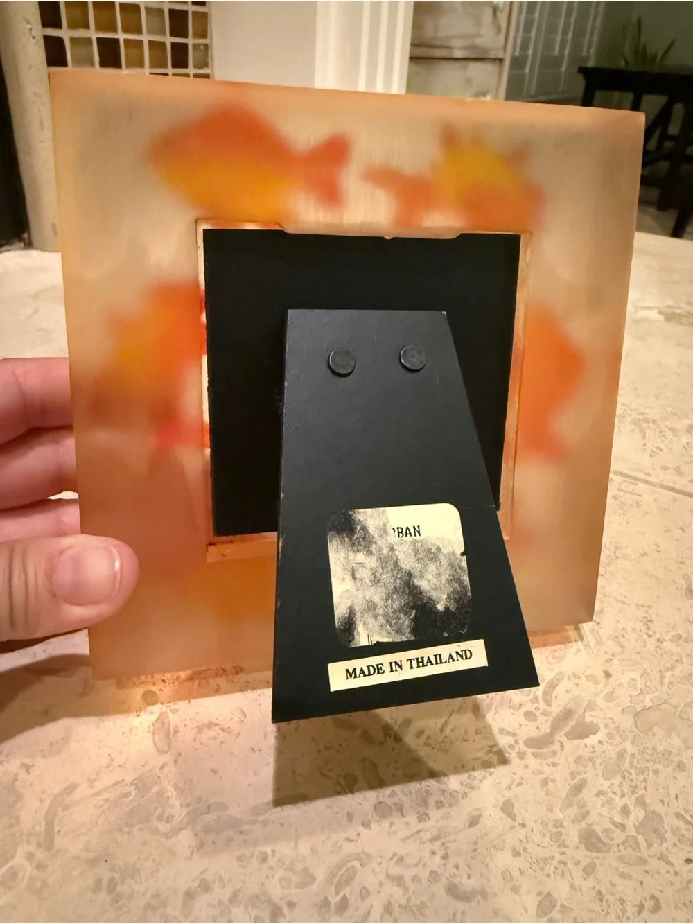 Resin Lucite Anthropologie Fish Picture Frame 5 3/8” picture size 2 3/8”